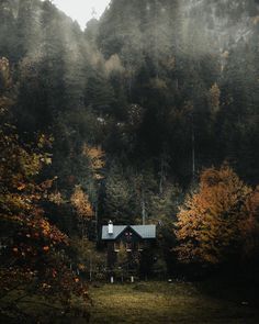 a cabin in the woods surrounded by trees with fall leaves on it's branches