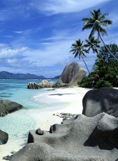 the beach is surrounded by rocks and palm trees