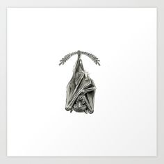 a black and white drawing of a bat hanging upside down