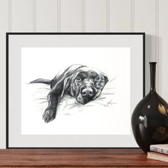 a black and white drawing of a dog laying down