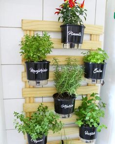 a vertical herb planter is mounted on a wall to display herbs and herbstuffs