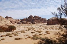 the desert is full of rock formations and sparse grass, with small trees in the foreground