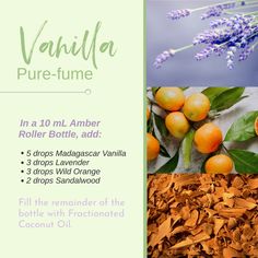 I love a good personal fragrance! With the new Madagascar Vanilla, you can make sweet pure-fumes that are toxin-free. Just add your favorite oils to a 10 mL Amber Roller Bottle with Fractionated Coconut Oil and shake. You won’t believe how many compliments you’ll get! Fragrance Oil Recipes, Natural Perfume Recipes, Massage Oil Blends, Essential Oil Beauty