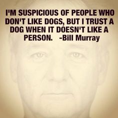 an old man with a serious look on his face and the words i'm suspicious of people who don't like dogs, but trust a dog when it doesn't like a person - bill murray