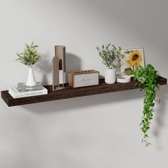 a shelf with some plants and other items on it