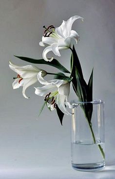 white flowers are in a clear glass vase