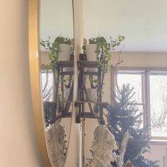 there is a mirror with plants in it