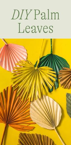 four different colored paper fans on a yellow background with green and pink leaves attached to them