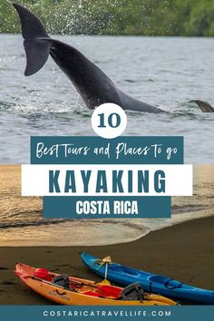 Discover the best places for kayaking in Costa Rica. From serene lakes to thrilling rivers, explore the top kayaking spots and get tips for your adventure Jungle Hike, Ocean Kayak, Mangrove Forest, Kayak Tours