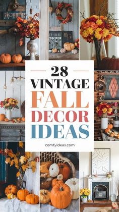 an image of fall decor with pumpkins, flowers and other things in the background