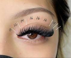 Cat Eye Mapping Eyelash Extensions, Cat Eye Hybrid Lash Extensions Map, Wispy Cat Eye Lash Extensions Map, Russian Volume Lashes Mapping, Long Cat Eye Lash Extensions Map, Cat Eye Mega Volume Lashes, Cat Eye Lash Map, Spikey Cat Eye Lash Extensions Map, Aesthetic Lashes