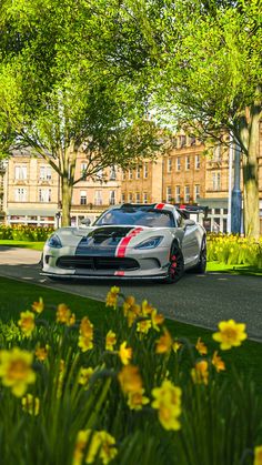 a silver sports car driving down a street next to trees and yellow flowers in the grass