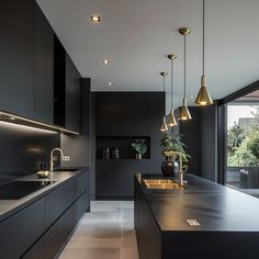 a modern kitchen with black cabinets and gold lighting hanging over the countertop, along with potted plants