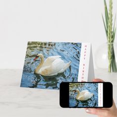 a person taking a photo of two swans in the water with their cell phone next to them