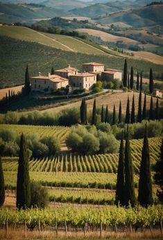 an old farmhouse surrounded by trees and rolling hills in the distance, with vineyards on either side