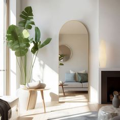 a living room filled with furniture and a large green plant in the middle of it