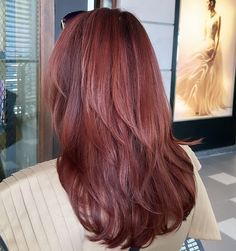 50 Hottest Mahogany Hair Color Trends For 2024 Mahogany Blonde Hair Color, Red Mahogany Hair Color, Mahogany Hair Color, Hair Color Mahogany, Mahogany Hair, Dream Makeup, Chocolate Hair, Dark Blonde Hair, Trends For 2024