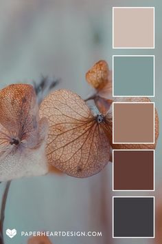 the color palette is brown, blue and green with some leaves on top of it