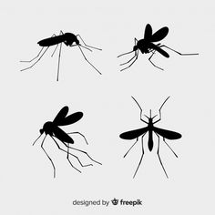 four mosquito silhouettes in different positions on a white background with the words design by freepik