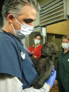 a man holding a baby monkey wearing a face mask and gloves while others look on