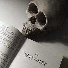 a skull sitting on top of an open book