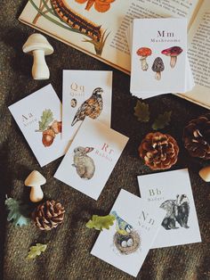 some cards are laying on the ground next to an open book and pine cones, mushrooms, and leaves