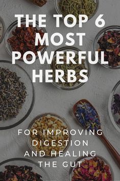 Herbs For Healthy Gut, Herbal Remedies For Digestion, Herbs For Colon Health, Best Herbs For Gut Health, Improving Gut Health Natural Remedies, Holistic Gut Healing, Best Teas For Gut Health, Herbs For Leaky Gut, Herbs For Flat Tummy