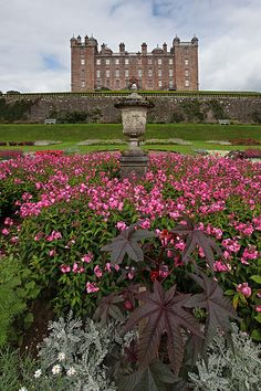 a large building sitting in the middle of a lush green field filled with pink flowers