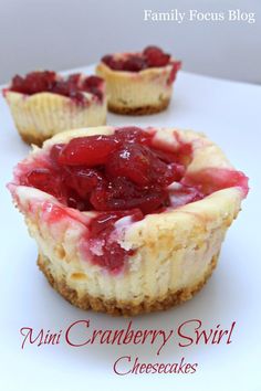 Cranberry Cheesecake Amazing Thanksgiving Desserts, Cranberry Cheesecake Recipes, Cheesecake Minis, Thanksgiving Dessert Ideas, Cranberry Cheesecake, Dessert Mini, Swirl Cheesecake, Easy No Bake Cheesecake, Mini Cheesecake Recipes