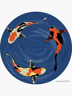 two orange and black koi fish swimming in a blue pond with water ripples