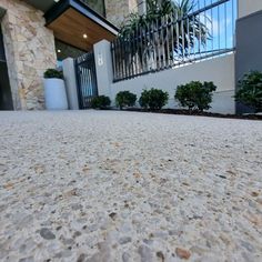 a close up view of the outside of a building with plants and rocks on the ground