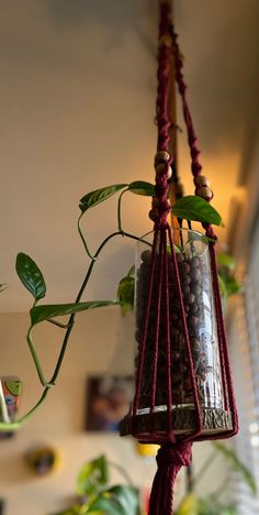 a hanging planter filled with rocks and plants