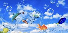 many different types of fish in the water with bubbles and clouds behind them on a sunny day