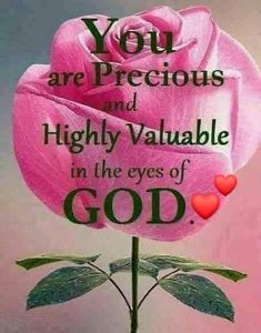 a pink rose with the words, you are precious and highly valuable in the eyes of god