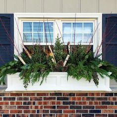 a window box filled with plants and pine cones