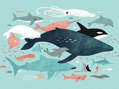 an illustration of whales and other animals swimming in the ocean with bubbles on them