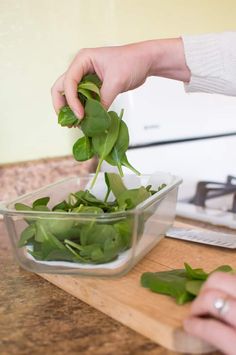 Looking to find out how to store spinach so it stays fresh all week long?These are my tips, tricks and how-to storage hacks for keeping this healthy leafy green fresh for days! how to keep spinach fresh | how to make greens last | the best way to store spinach | #veggieloaded How To Store Spinach, Best Spinach Recipes, Food Saver Hacks, Storing Vegetables, Storing Fruit, Raw Spinach, Fruit And Vegetable Storage, How To Make Greens, Vegetable Storage