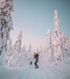 two people are walking through the snow with their skis on in front of some trees