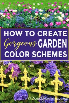 Garden Color Schemes (How To Create Gorgeous Garden Color Combinations) Backyard Garden Layout, Purple Garden, Starting A Garden, Flower Landscape, Plant Combinations, Olive Garden, Garden Designs