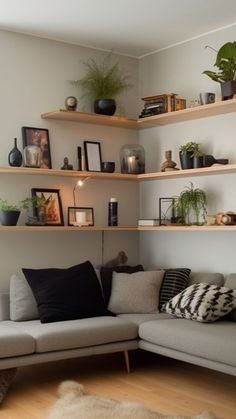 a living room filled with lots of furniture and plants on top of wooden shelving