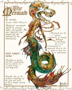 a drawing of a mermaid with long hair