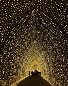 people walking through a tunnel covered in lights