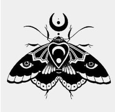 a black and white drawing of a moth with an eyeball on it's back