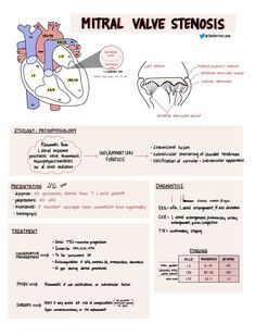 a diagram of the heart and its functions