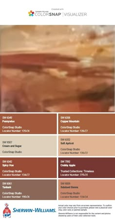 the color scheme for sherylin williams's paint palettes is shown in brown and