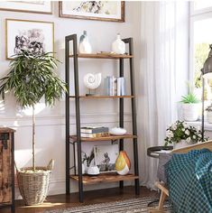 a living room filled with furniture next to a plant and pictures on the wall above it