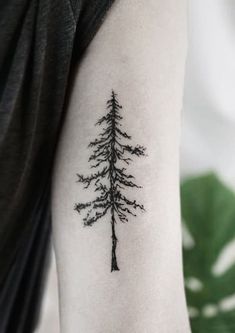 a small pine tree tattoo on the left upper half of the arm, which is black and white