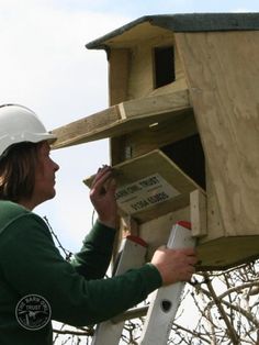 a man is building a birdhouse on top of a ladder