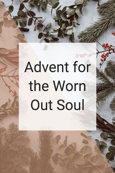 the words,'adventure for the worm out soul'are surrounded by evergreen branches and berries