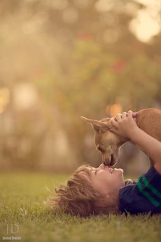 a boy laying in the grass with his dog on his head and looking up at him